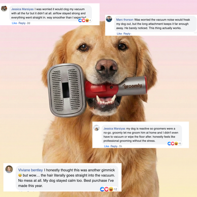 THE GROOMLY 3-in-1 Vacuum brush